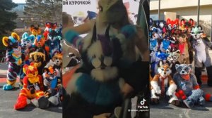 раптор маска(фурри) тт ?