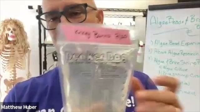 AP Summer Institute Talk: Algae Beads and Brine Shrimp (Brainy Brinys). How to use in the classroo смотреть онлайн