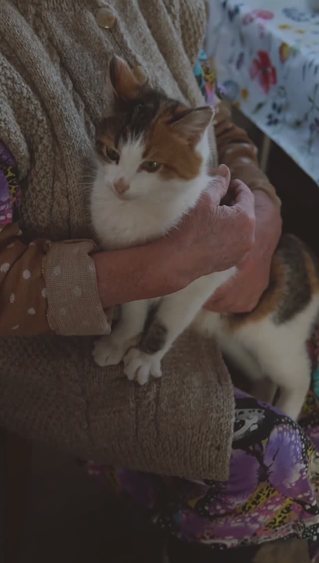 От газового месторождения село Сойгино в Чувашии отделяют более 2100 км смотреть онлайн