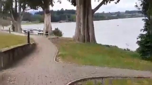 Lake Te Anau,New Zealand смотреть онлайн