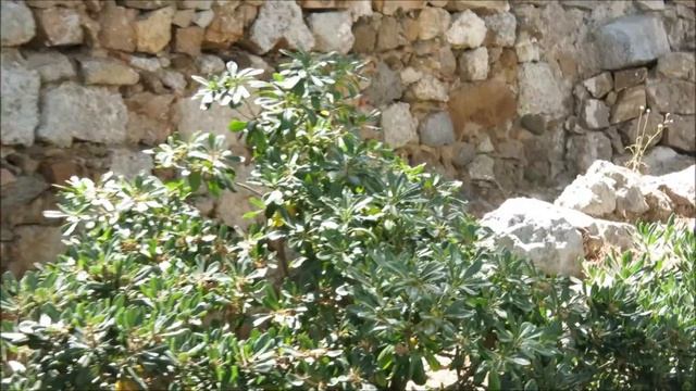 Exploring Spain! (Blanes, Sitges, Barcelona and Tossa De Mar) смотреть онлайн