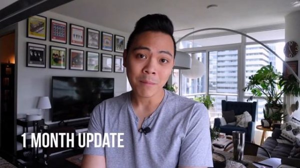 Propagating My Epipremnum Pinnatum Skeleton Key - 3 MONTH UPDATE