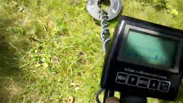 Xlt White's E-series