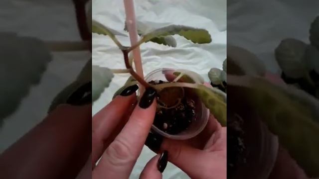 отвечаю на ваши вопросы. смотреть онлайн