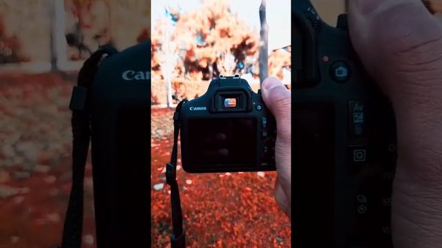 canon 2000d test photo смотреть онлайн