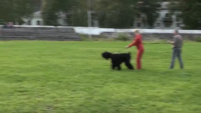 РЧТ Цефей с Босфора Восточного