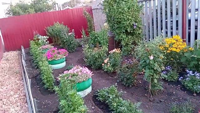 Жизнь в Сентябрь 24 г смотреть онлайн