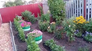 Жизнь в Сентябрь 24 г