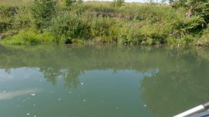 Рыбалка на реке Пьяне