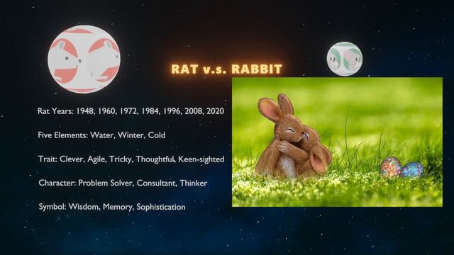 Zodiac Rat: 2023 Chinese Horoscope Predictions for the Year of the Rabbit【Master Tsai Zodiac】 смотреть онлайн