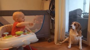 Funny TWIN BABIES Video #6 👶👶 Adorable Twin Babies Playing and Laughing Together 😄 TWIN BABIES & DO
