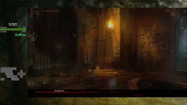 [Former WR] The Witcher - Side Effects Speedrun in 9:39 RTA смотреть онлайн