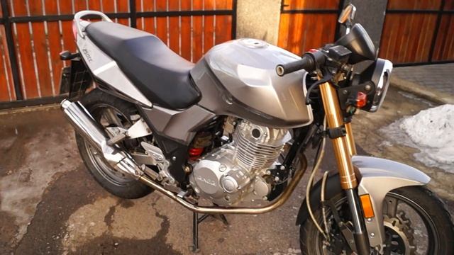 Skymoto wolf 250cc смотреть онлайн