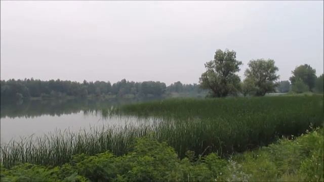 озеро Курнистый садок деревня Репино достопримечательности Волгоградская область смотреть онлайн