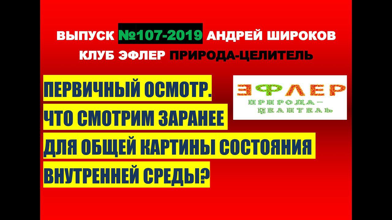 107. ТИПОВАЯ ДИСТАНЦИОННАЯ КОНСУЛЬТАЦИЯ. ВАЖНЫЕ ПАРАМЕТРЫ БИОЛОКАЦИОННОГО АНАЛИЗА ПАЦИЕНТА. смотреть онлайн