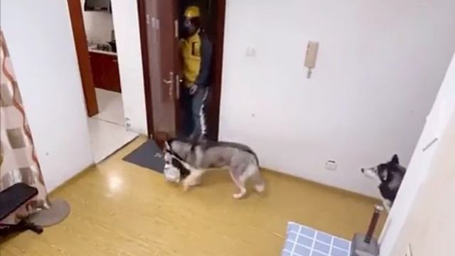 принес все что нужно смотреть онлайн