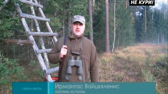 video.mp4Охота на трофейного самца оленя на реву в Латвии - 2021г смотреть онлайн