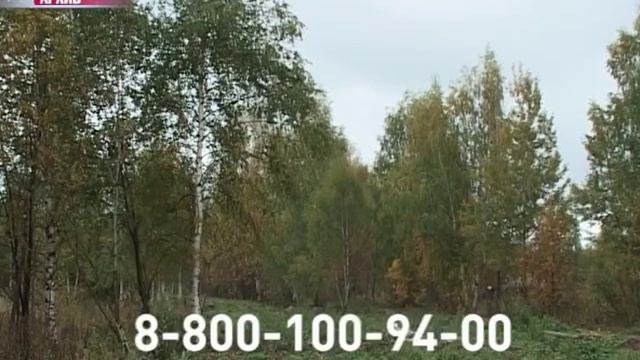 С 15 апреля за костры и шашлыки в лесу будут штрафовать смотреть онлайн