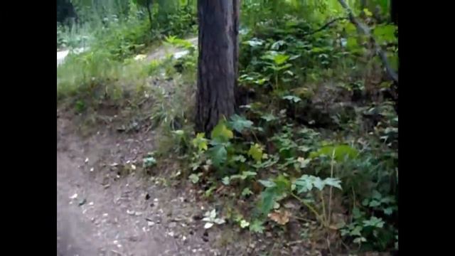 Влог Наши выходные* поездка на Рефтинское водохранилище смотреть онлайн