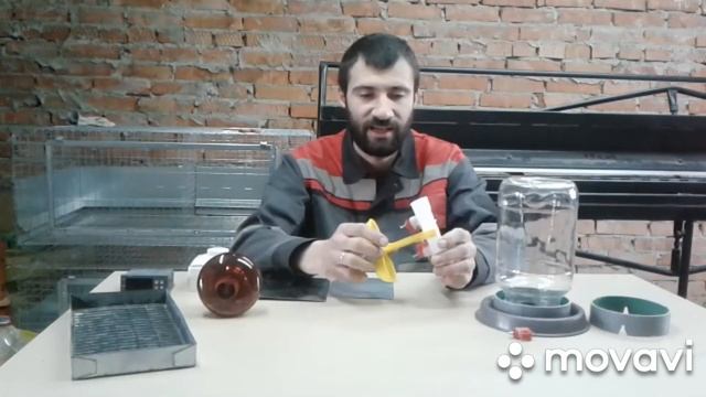 Как выбрать брудер? Три главных правила смотреть онлайн