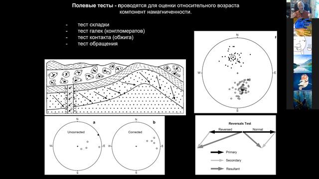 Палеомагнитология. Палеомагнитные полюсы, базы данных, полевые тесты и критерии надёжности смотреть онлайн