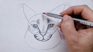 как нарисовать шлёпу карандашом \\ как нарисовать шлепу