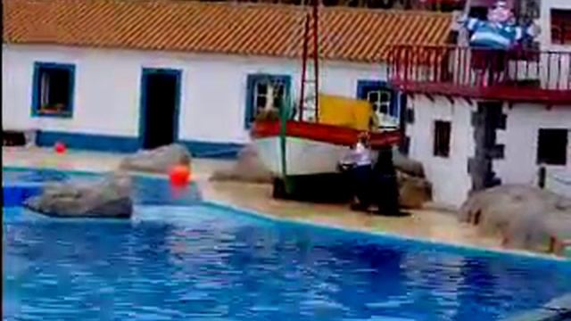 tango da foca+bj смотреть онлайн