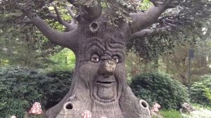 Говорящее дерево в парке Efteling (Нидерланды)