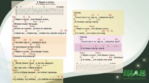 Искусство песни под гитару. ТОП-разбор песни "У берез и сосен" под гитару.