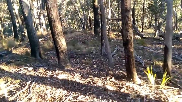 Adventure Gold, Bullets N Bits. Sunny Corner