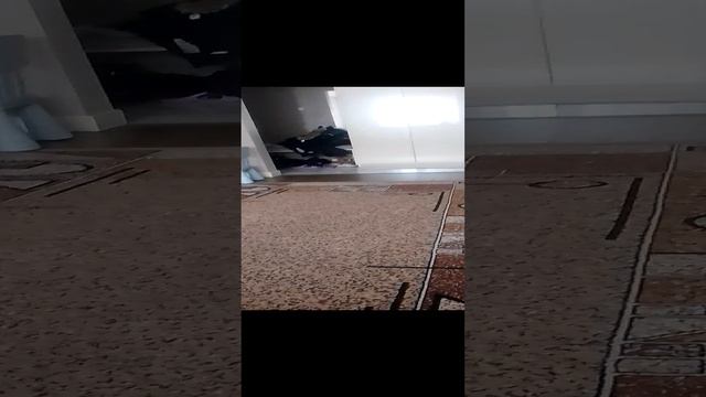 пжж смотреть онлайн