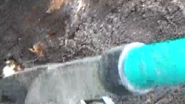 'Где шипы там и РОЗЫ'. Вредная ПОРОСЛЬ. смотреть онлайн