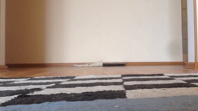 Как настроить сеть на псп смотреть онлайн