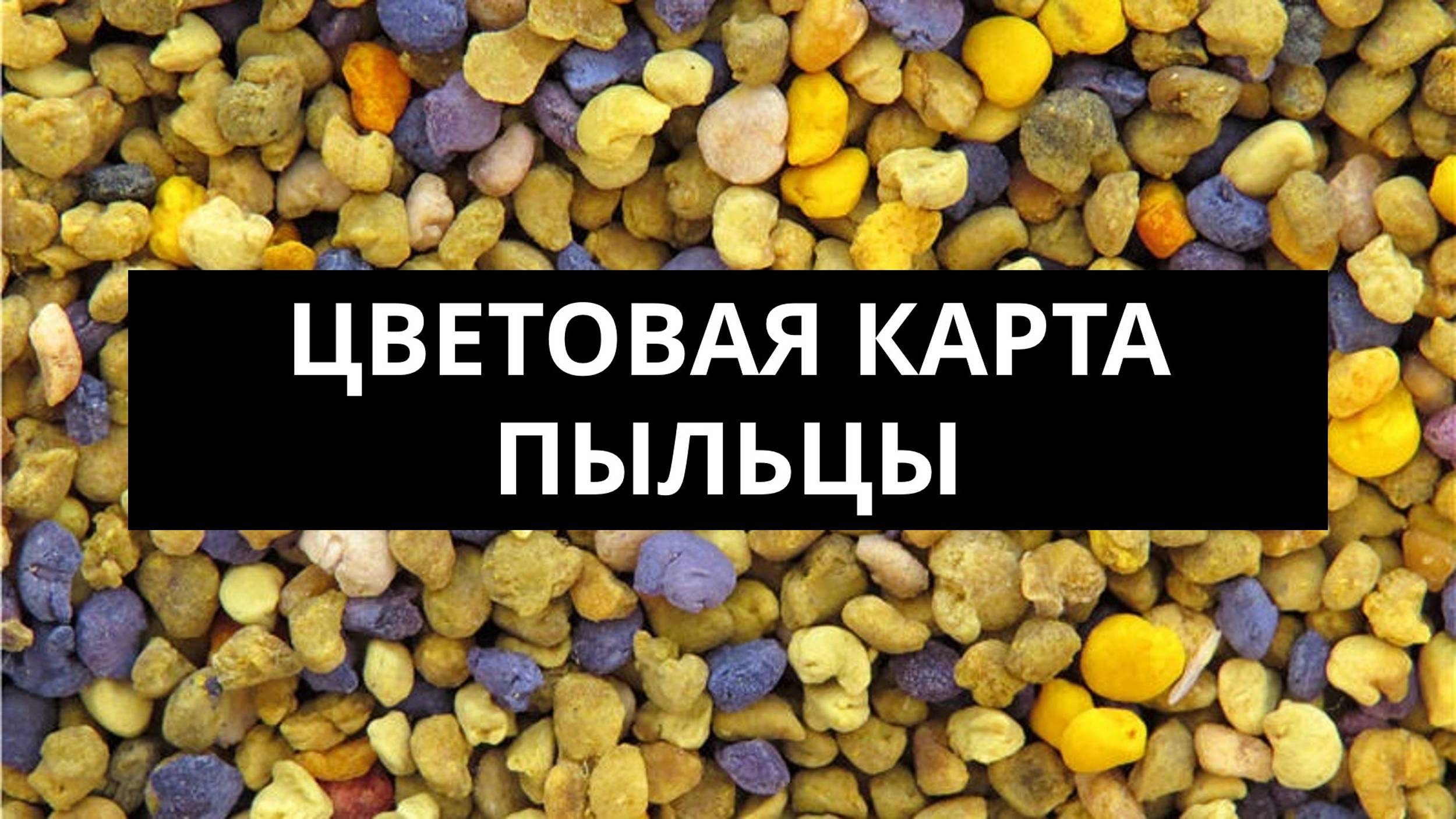 Карта цветов пыльцы обножки смотреть онлайн
