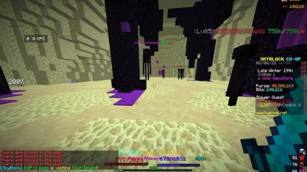 How To Level Up Your Pets FAST | Hypixel Skyblock Guide