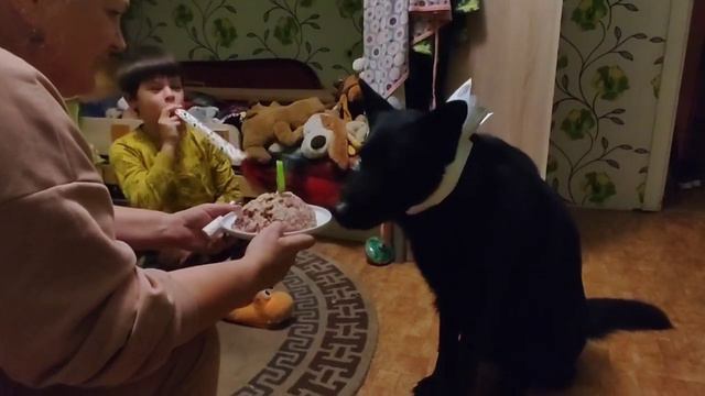 Если с другом вышел в путь. Оби 4 года! смотреть онлайн