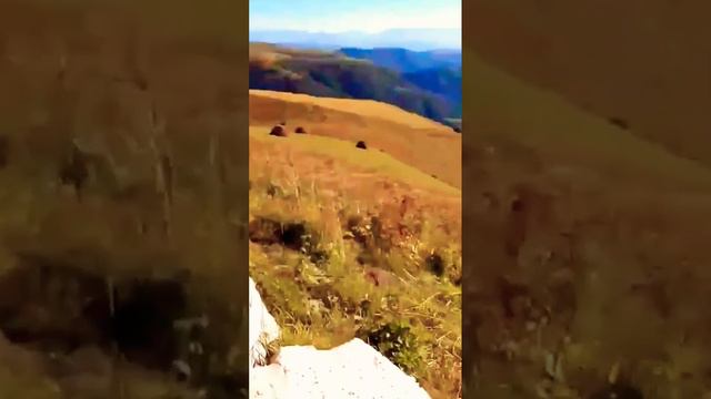 Горный #mood смотреть онлайн