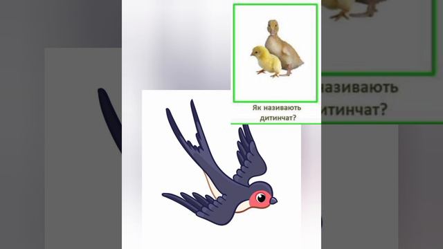 Складання розповіді про птаха смотреть онлайн