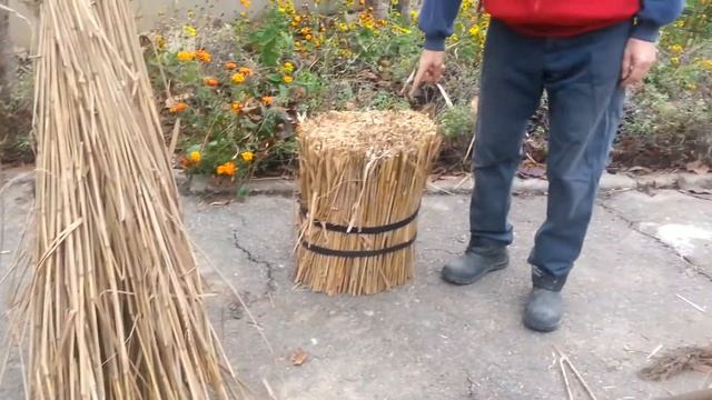 Камыш Камыш смотреть онлайн