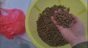 Перга! Как выбить пергу из сот. Самый простой способ!!!