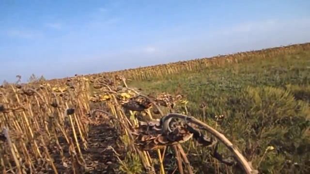 САМВЕЛ АДАМЯН ЮЛЯ ЖИВЁТ В СТАЛИНКЕ. САМВЕЛ И GRANDENIKO ЗАХВАТИЛИ ПАРКОВКУ ВО ДВОРЕ смотреть онлайн