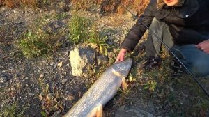 ЩУКА на 7кг, самый популярный водоем в Крыму!