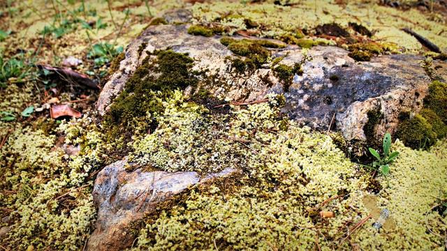 Del Norte County - HIKE TO PARADISE смотреть онлайн