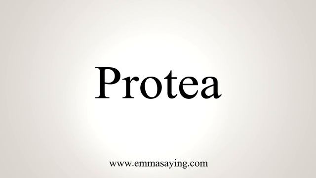 How To Say Protea смотреть онлайн