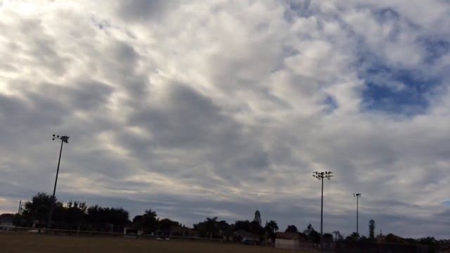 Flying bugs 4w drone sw Florida смотреть онлайн