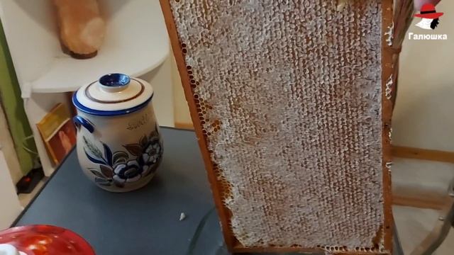 МЁД РАСПЕЧАТЫВАЕТСЯ • КАЧКА МЁДА 1 ЧАСТЬ, ЧЕМ ПОЛЕЗЕН ЗАБРУС смотреть онлайн