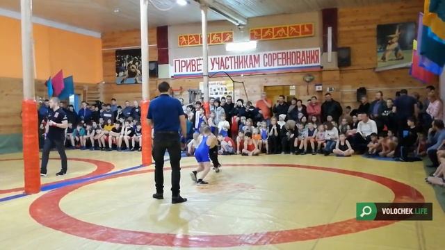 В Вышнем Волочке прошёл турнир по спортивной борьбе «Мамина надежда» смотреть онлайн