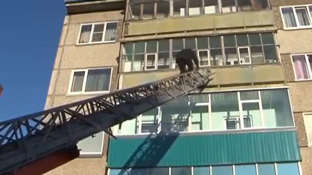 Приставы выселили из квартиры 84 летнюю бабушку смотреть онлайн