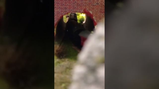 Eine Dampflok mit Personenwagen in der Baugröße Z kommt aus dem Tunnel смотреть онлайн