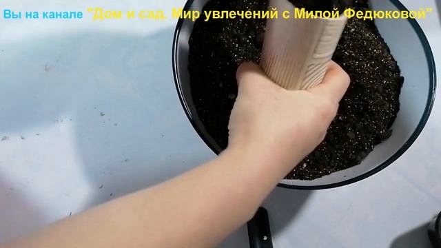 Стаканчики для рассады своими руками из подручного материала. Бюджетно, практично и очень быстро. смотреть онлайн